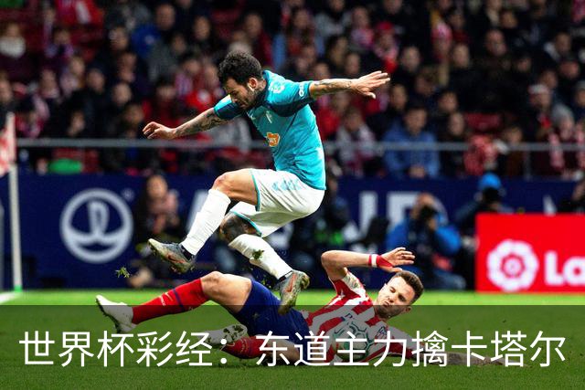 世界杯彩经：东道主力擒卡塔尔