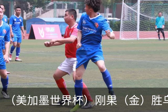 （美加墨世界杯）刚果（金）胜乌兹别克斯坦晋级 韩国无缘32强